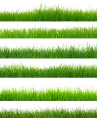 Printed roller blinds Grass green grass