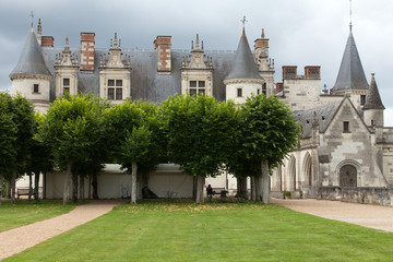 Amboise castle .Valley of the river Loire. France