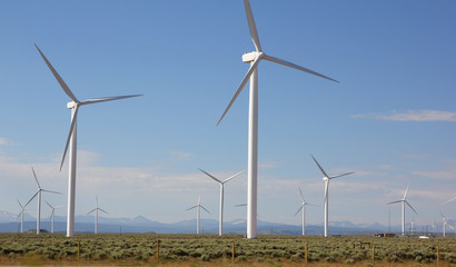 wind turbines farm