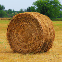 Haystack on the field. USA