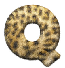 Leopardenfell Letter 
