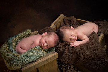newborn twins sleeping