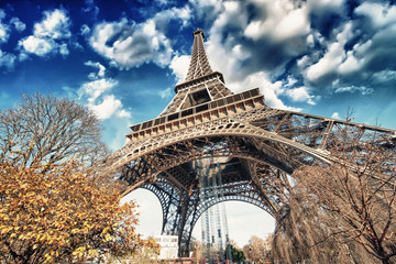 Magnifique vue sur la Tour Eiffel et la végétation hivernale - Pa