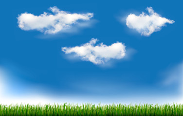 Fototapeta na wymiar Background with blue sky and grass. Vector.