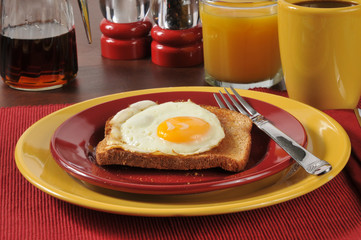 Fried egg on toast