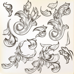 Collection of vintage vector swirls for design