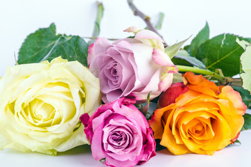 Romantisches Blumengeschenk: bunte, englische Rosen