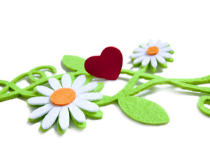 Obraz premium coeur de saint Valentin nature