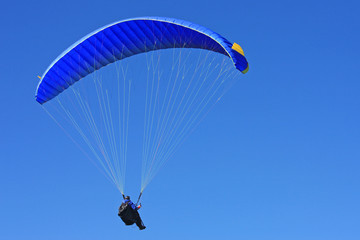paraglider