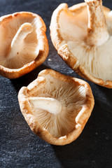 Shiitake Mushrooms