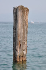 Wooden pole in the water