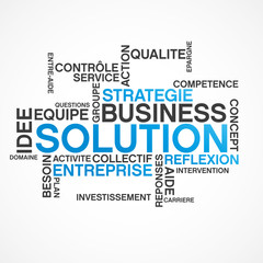 business solution