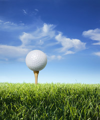 Golf ball on tee in grass viewed close up