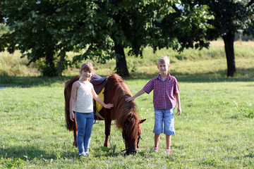 Obraz premium little girl and boy with pony horse