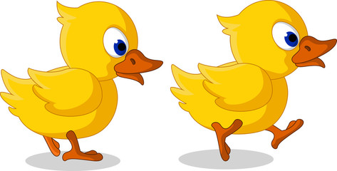 cute two little duck cartoon walking