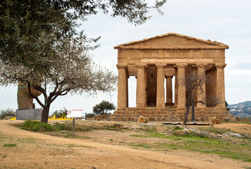 Fototapeta na wymiar Ruiny świątyni Concordia, Agrigento
