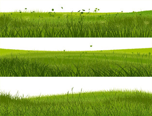 Banner of abstract meadow grass.