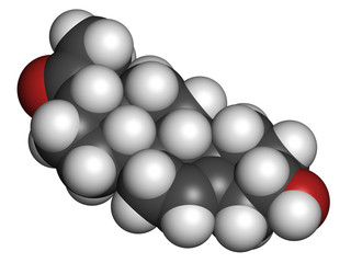 Pregnenolone neurosteroid and prohormone molecule