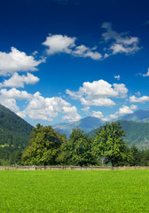 Obraz premium Mountain valley in the summer time. Beautiful summer landscape