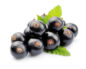 Black currant with leafs