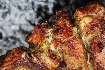 roasted meat