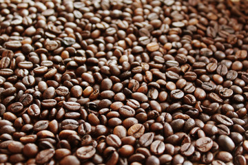 Coffee grunge background