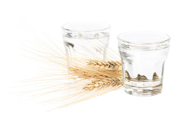 2 Gläser Korn - Schnaps auf weißem Hintergrund