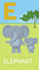 Letter E, animal ABC