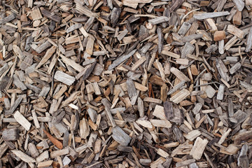 Background of wood chips