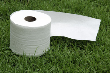 White tissue paper on the lawn.