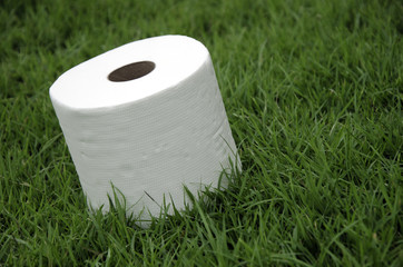 White tissue paper on the lawn.