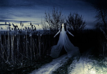The Ghost flies along the road