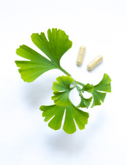 Gingko