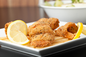 Fried Shrimp Macro