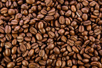 Naklejka premium ziarna kawy