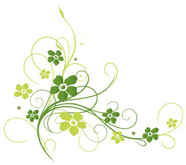 Sehr filigrane Ranke mit Blumen. Grüntöne, grün.