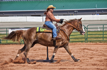 Pole Bender Western Rider