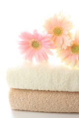 Obraz na płótnie Canvas pastel pink gerbera on towel for interior goods image