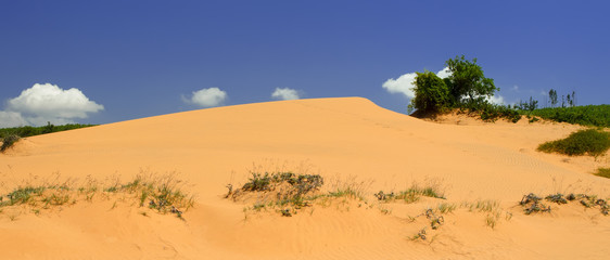 Fototapeta na wymiar Sand Dunes.