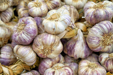 Selection of red garlic closeup image