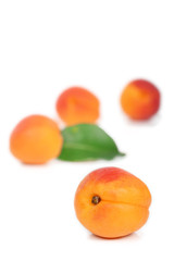 abricots