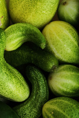 Green cucumbers, background