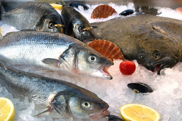 Fresh fish on ice