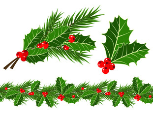 holly leaves and berries © g215