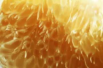 Texture of pamelo pulp