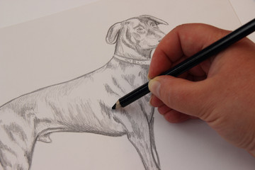 Hund malen
