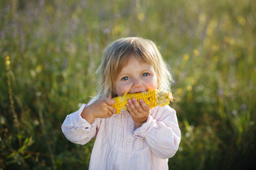Child, corn - lovely girl eating corn on the cob in the garden