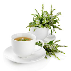 Cup of herbal tea with fresh mint flowers isolated on white