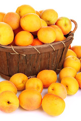 Fresh natural apricot close up