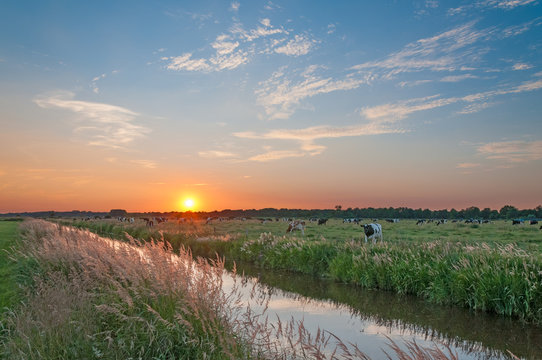 Ostfriesisches Weideland
